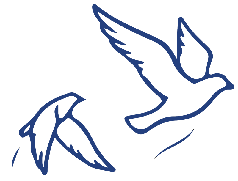 Blue Bird 1