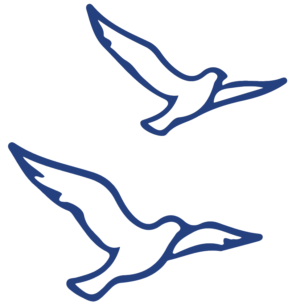 Blue Bird 2